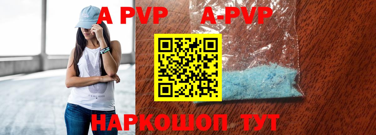 A PVP СК КРИС Гай