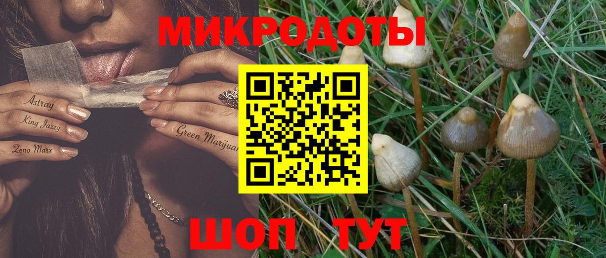 Галлюциногенные грибы мицелий Гай