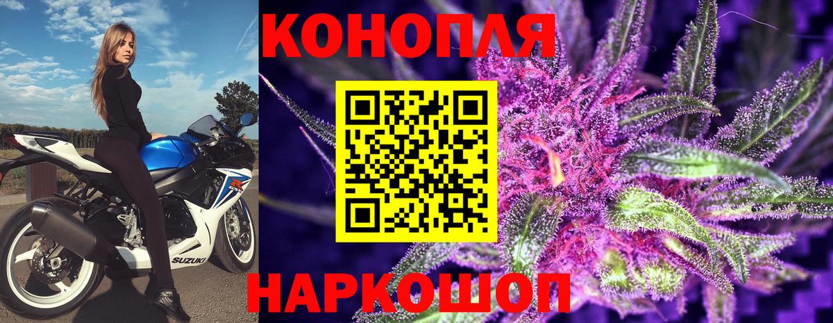 Бошки Шишки план Гай